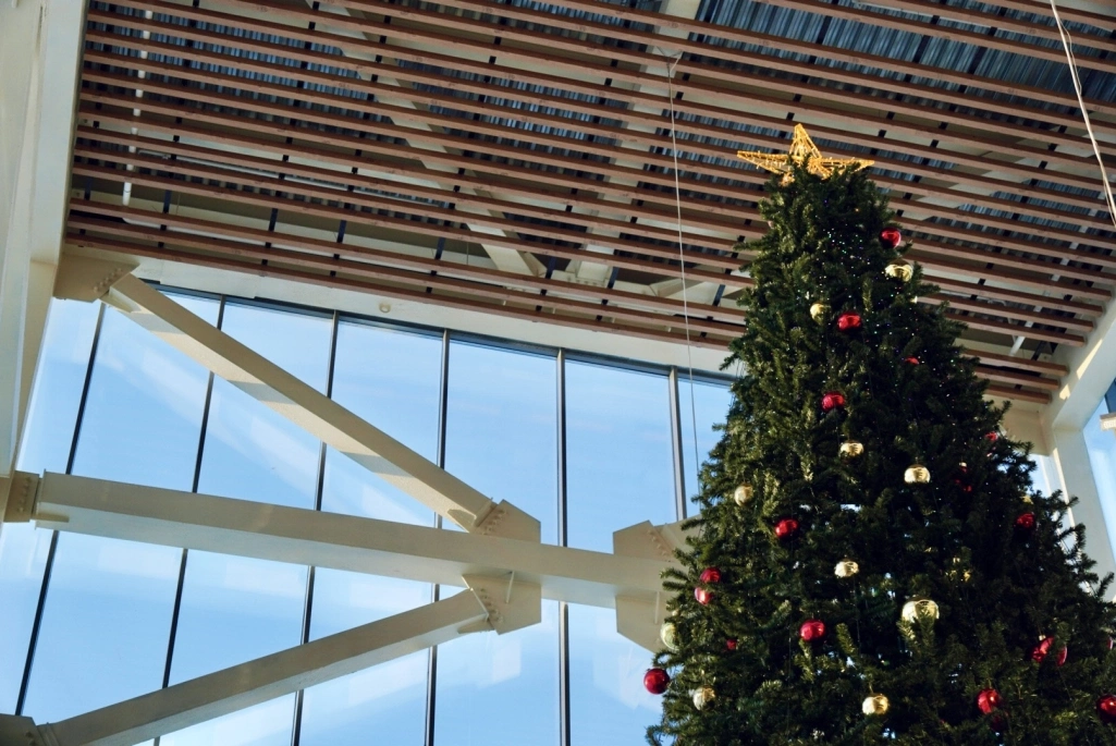 НН.Собака.ru: Ёлка «Школы 800» в топе самых необычных