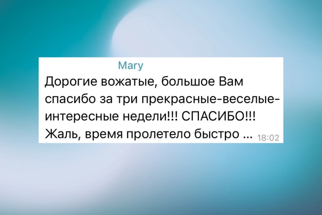 Отзывы